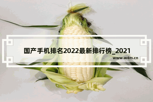 国产手机排名2022最新排行榜_2021公认国产口碑最好的三部手机