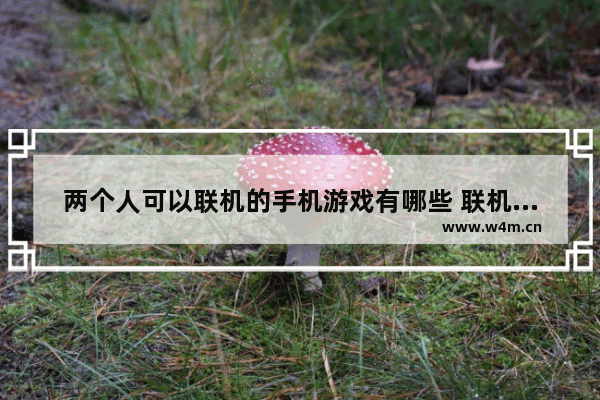 两个人可以联机的手机游戏有哪些 联机手机游戏高质量游戏推荐