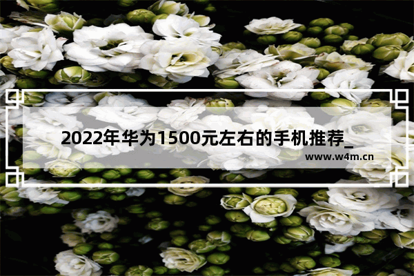 2022年华为1500元左右的手机推荐_1500至2000的华为手机哪款值得买