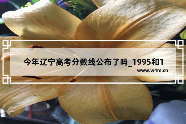 今年辽宁高考分数线公布了吗_1995和1996年辽宁省高考的各档录取分数线