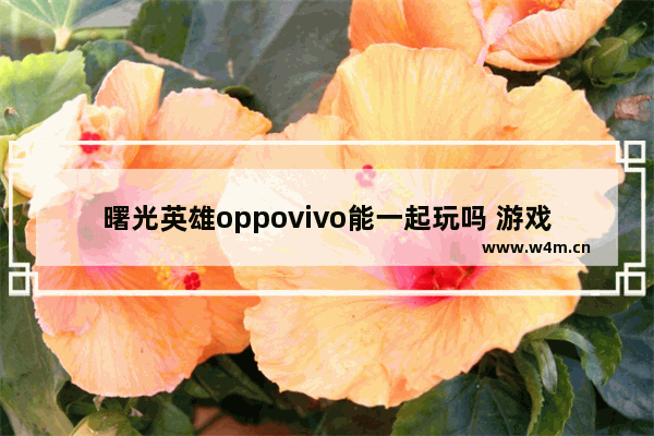 曙光英雄oppovivo能一起玩吗 游戏推荐联机OPPO