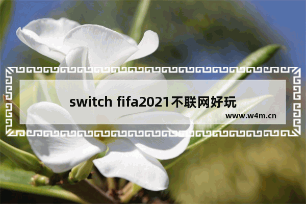 switch fifa2021不联网好玩吗_鬼谷八荒联机可以吗