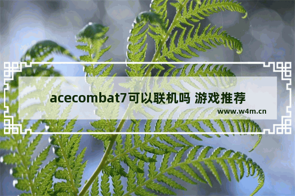 acecombat7可以联机吗 游戏推荐联机电脑配置