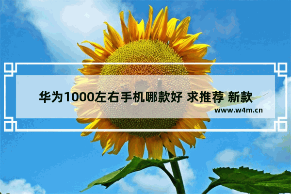 华为1000左右手机哪款好 求推荐 新款一千元左右手机推荐一下华为