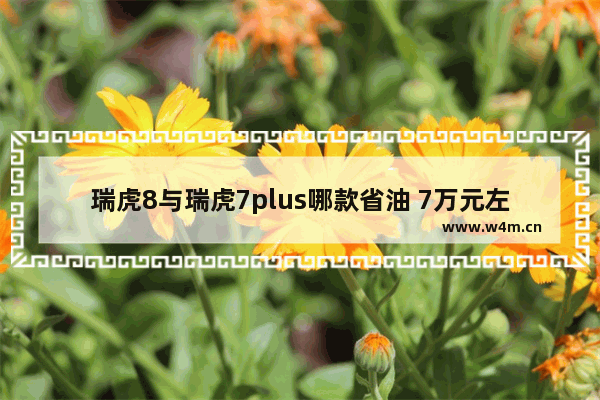 瑞虎8与瑞虎7plus哪款省油 7万元左右新车推荐哪款车最好开省油