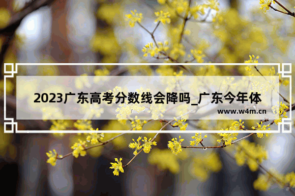 2023广东高考分数线会降吗_广东今年体育高考分数线会提高吗