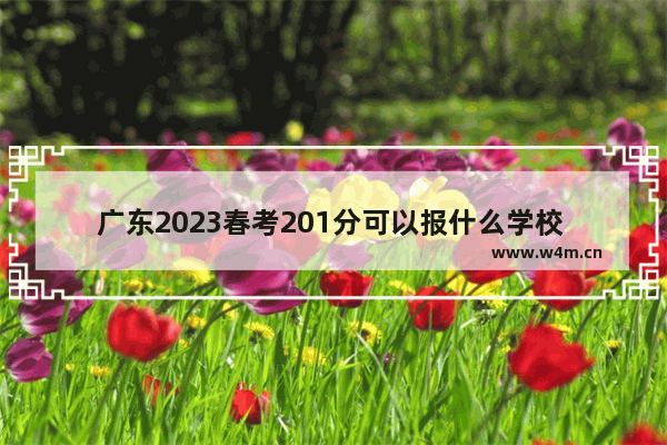 广东2023春考201分可以报什么学校 广州高中日语高考分数线