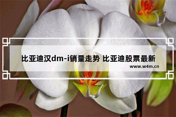 比亚迪汉dm-i销量走势 比亚迪股票最新预测走势