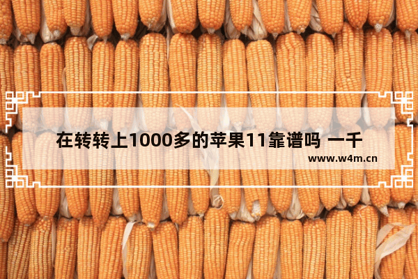 在转转上1000多的苹果11靠谱吗 一千左右买苹果手机推荐哪款比较好一点