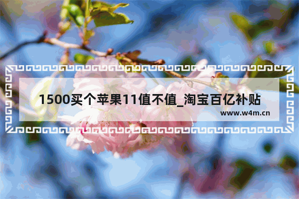 1500买个苹果11值不值_淘宝百亿补贴苹果12一千多可信吗