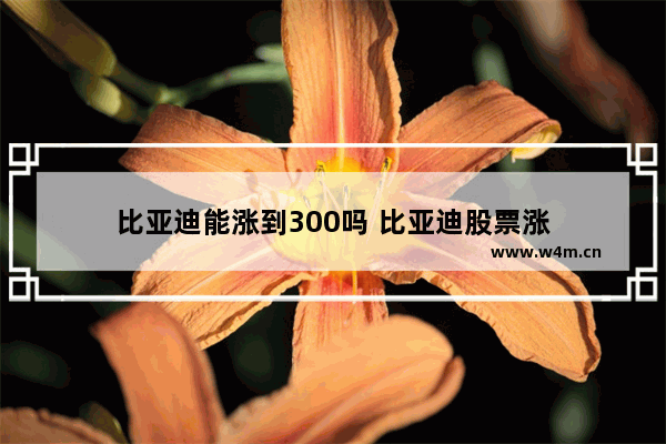 比亚迪能涨到300吗 比亚迪股票涨