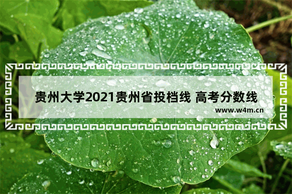 贵州大学2021贵州省投档线 高考分数线19年贵州大学