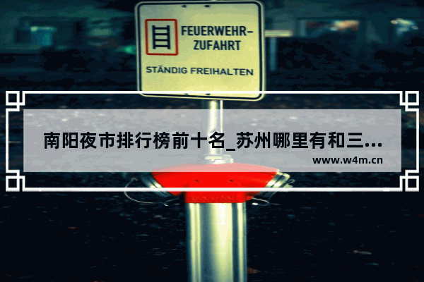 南阳夜市排行榜前十名_苏州哪里有和三里桥一样的地方