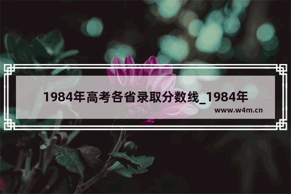 1984年高考各省录取分数线_1984年文科高考取分线是多少