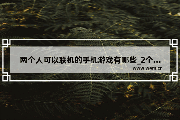 两个人可以联机的手机游戏有哪些_2个人联机的小游戏