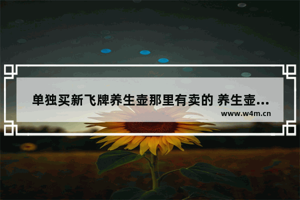 单独买新飞牌养生壶那里有卖的 养生壶一个卖多少钱