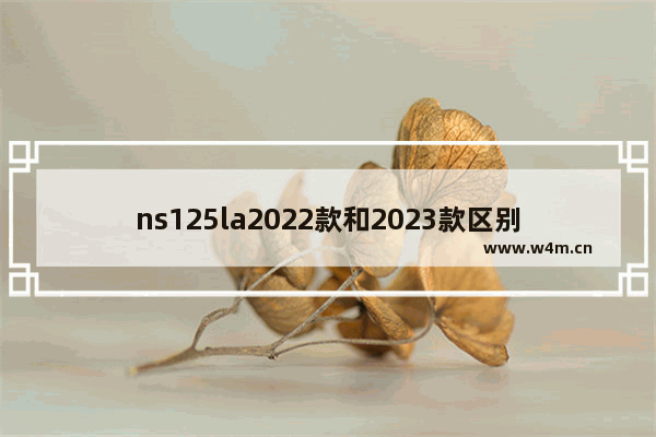 ns125la2022款和2023款区别 2023 ns游戏推荐