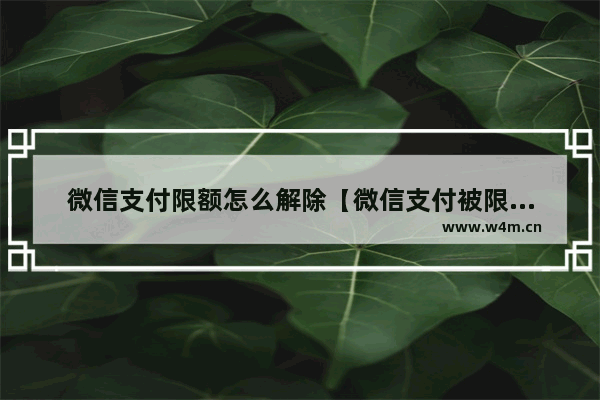 微信支付限额怎么解除【微信支付被限制是怎么回事】