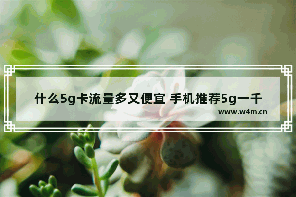 什么5g卡流量多又便宜 手机推荐5g一千内流量够用吗