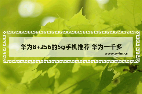 华为8+256的5g手机推荐 华为一千多元5g手机推荐哪款