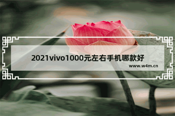 2021vivo1000元左右手机哪款好_1500左右vivo手机推荐