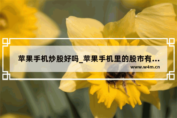 苹果手机炒股好吗_苹果手机里的股市有什么用