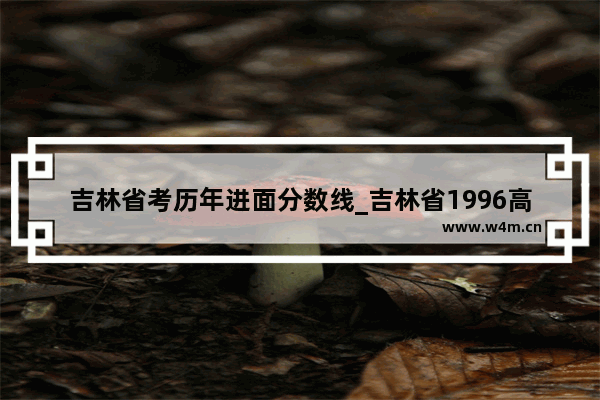 吉林省考历年进面分数线_吉林省1996高考录取分数线