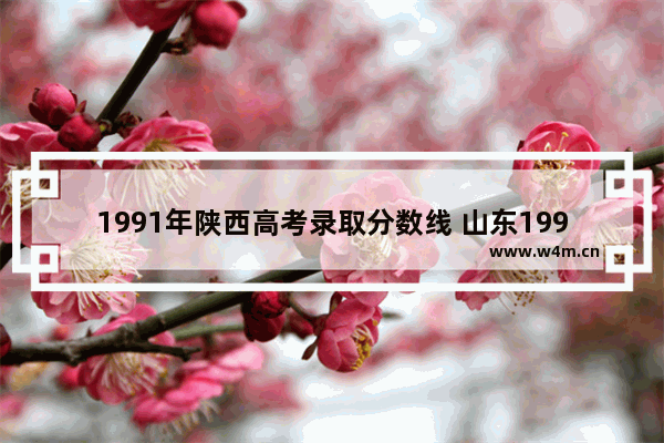 1991年陕西高考录取分数线 山东1991年高考分数线