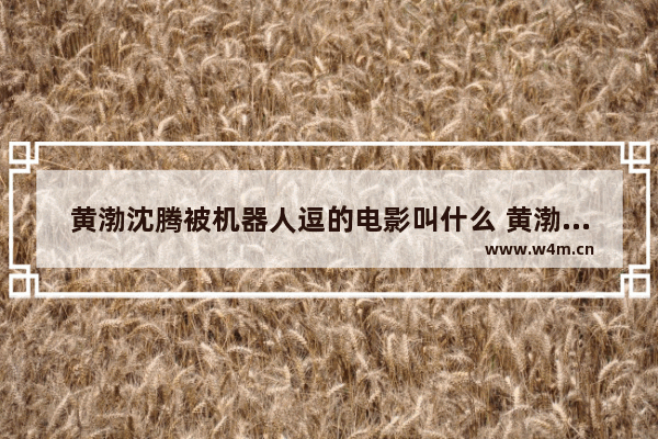 黄渤沈腾被机器人逗的电影叫什么 黄渤沈腾最新电影名字叫啥来着