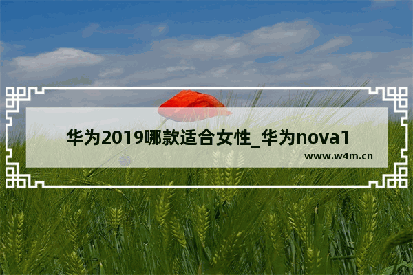 华为2019哪款适合女性_华为nova11适合女生吗