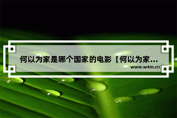 何以为家是哪个国家的电影【何以为家讲述的故事原型】