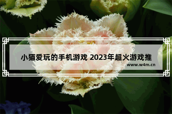 小猫爱玩的手机游戏 2023年超火游戏推荐手机