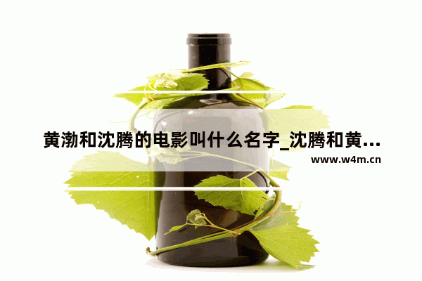 黄渤和沈腾的电影叫什么名字_沈腾和黄渤一起拍的电影有几部