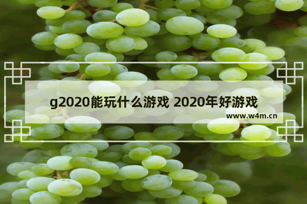 g2020能玩什么游戏 2020年好游戏推荐