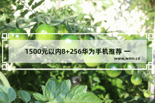 1500元以内8+256华为手机推荐 一千元以上华为手机推荐哪款比较好呢