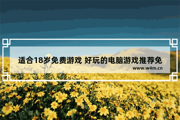 适合18岁免费游戏 好玩的电脑游戏推荐免费冒险手游