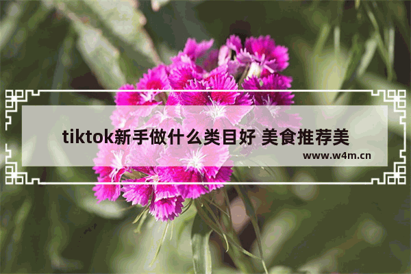 tiktok新手做什么类目好 美食推荐美食测评怎么做好看