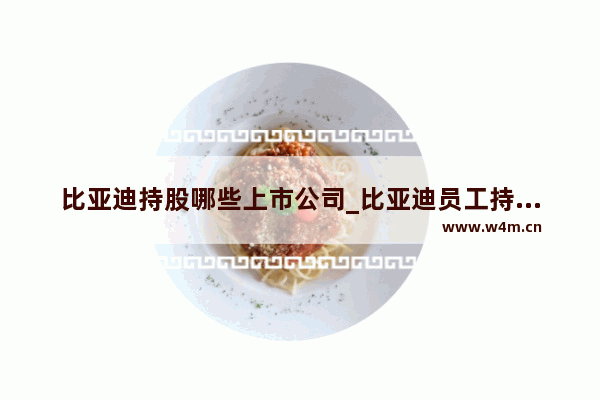 比亚迪持股哪些上市公司_比亚迪员工持股是哪个等级