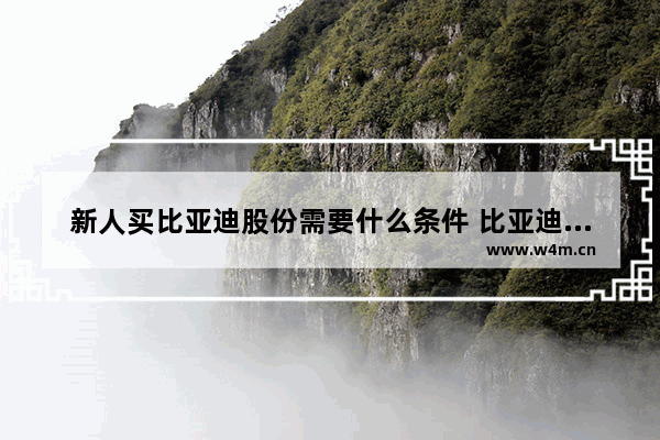 新人买比亚迪股份需要什么条件 比亚迪股票可以买一股吗