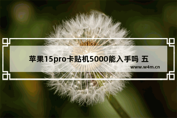 苹果15pro卡贴机5000能入手吗 五千块钱苹果手机推荐