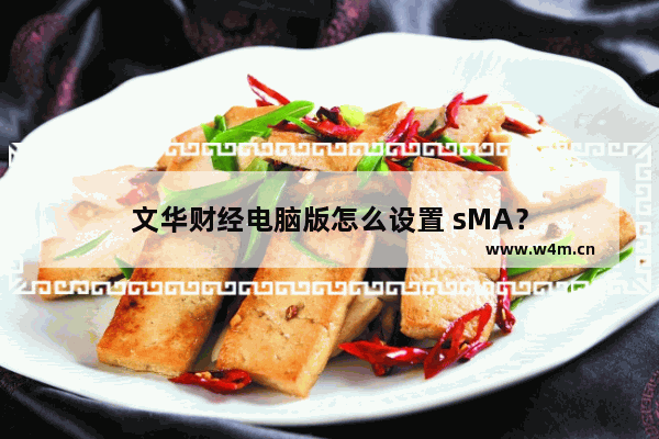 文华财经电脑版怎么设置 sMA？