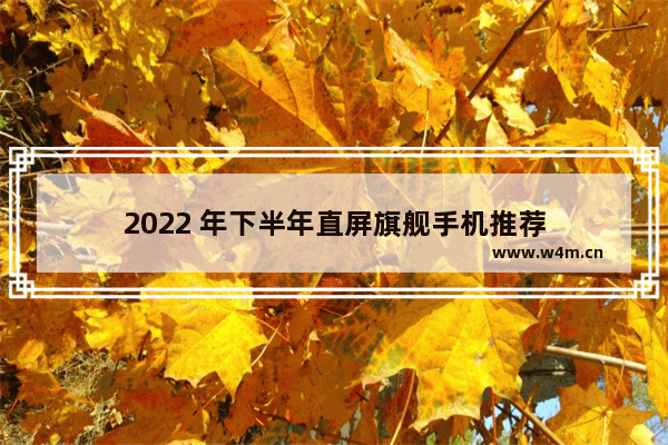 2022 年下半年直屏旗舰手机推荐