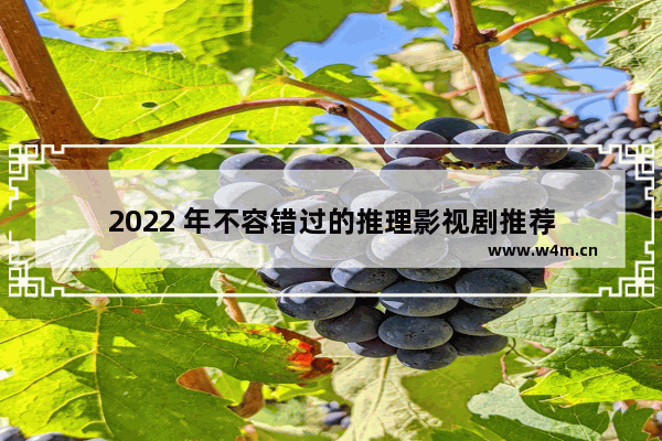 2022 年不容错过的推理影视剧推荐