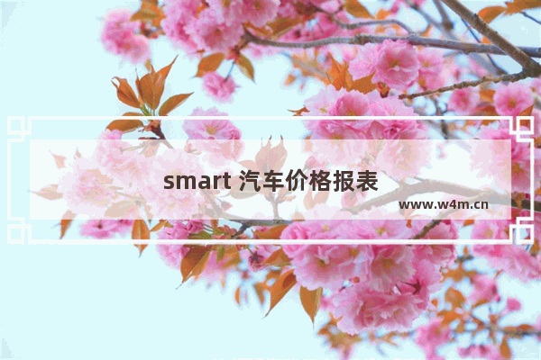 smart 汽车价格报表