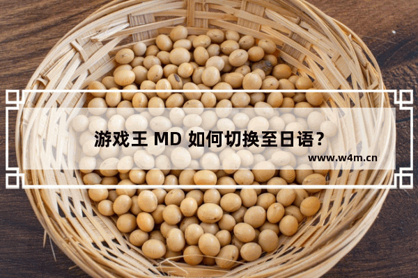 游戏王 MD 如何切换至日语？