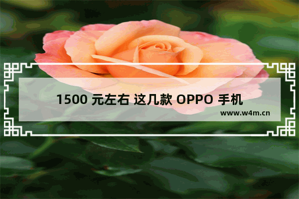 1500 元左右 这几款 OPPO 手机值得推荐！