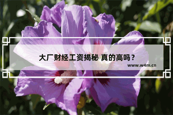 大厂财经工资揭秘 真的高吗？