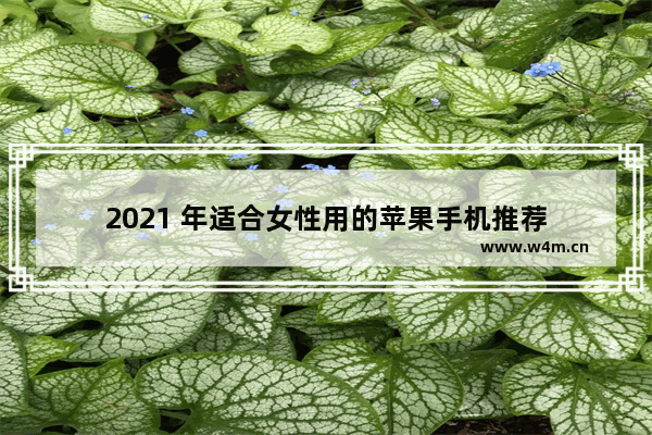 2021 年适合女性用的苹果手机推荐