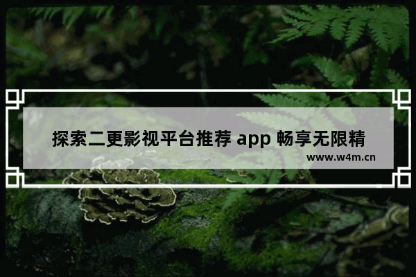 探索二更影视平台推荐 app 畅享无限精彩影视之旅