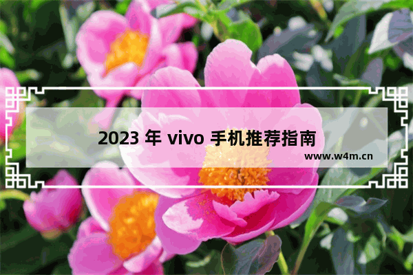 2023 年 vivo 手机推荐指南